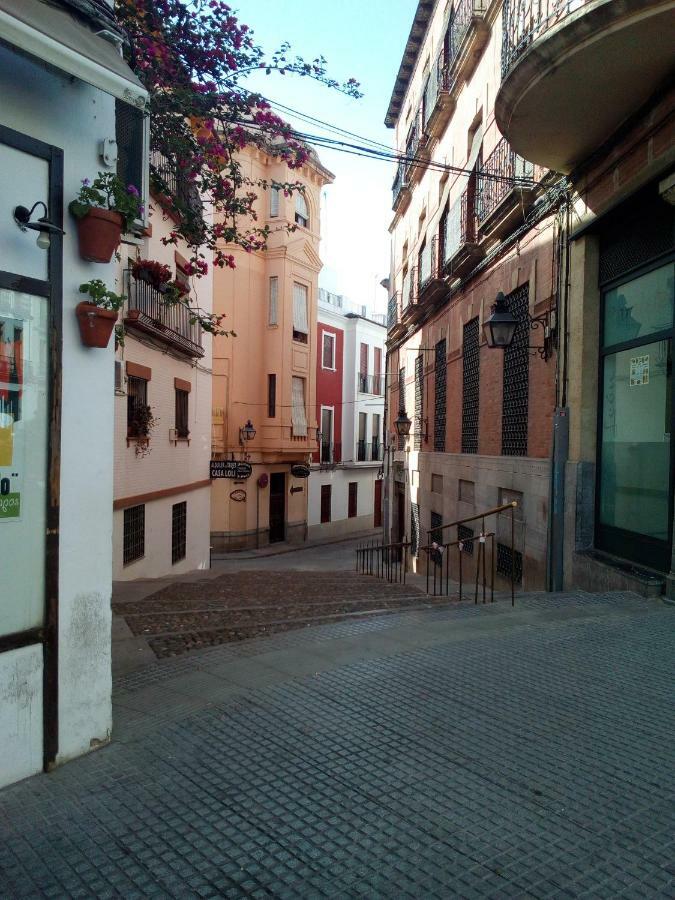 Vivienda Turistica Templo Romano Cordoba Ngoại thất bức ảnh